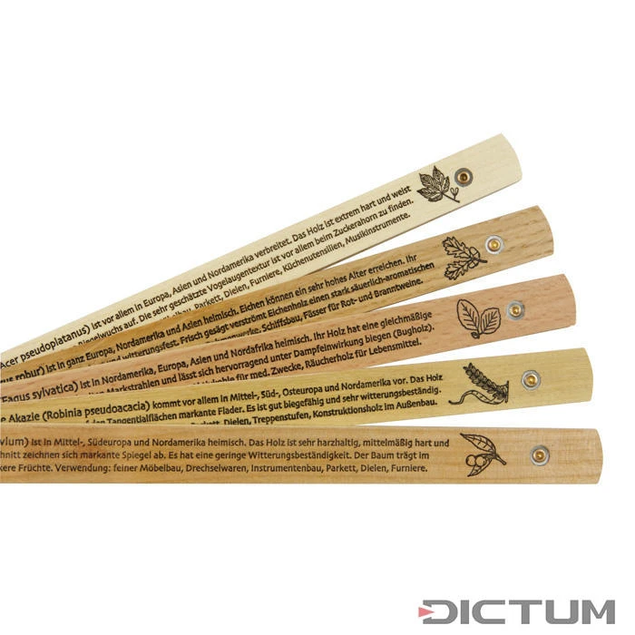 Mètre-pliant Wood Stock, Bois Européens 3 Mètre-pliant Wood Stock, Bois Européens - Image 3