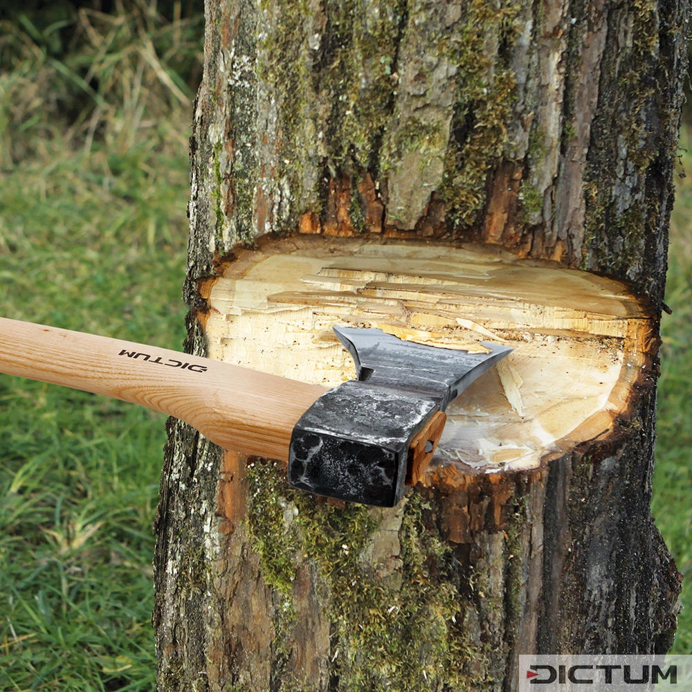 Hache D'abattage DICTUM Avec étui En Cuir - Image 3